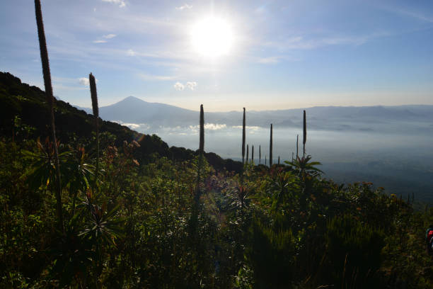 Mount Karisimbi Hiking Experience in Rwanda